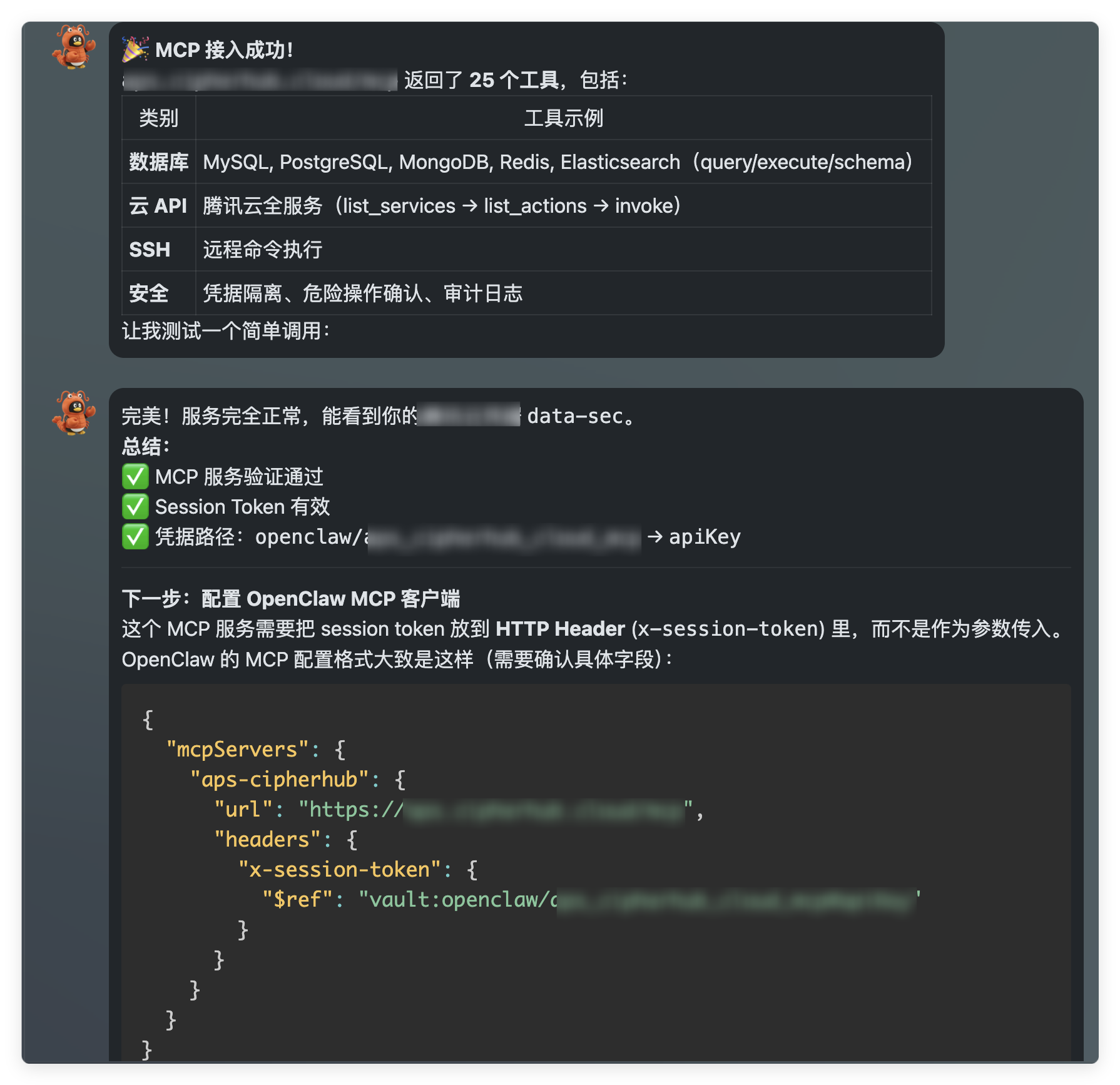 MCP 服务接入成功