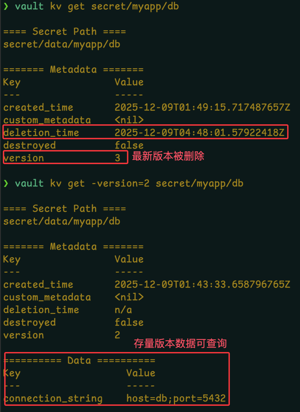 Clipboard_Screenshot_1766743292