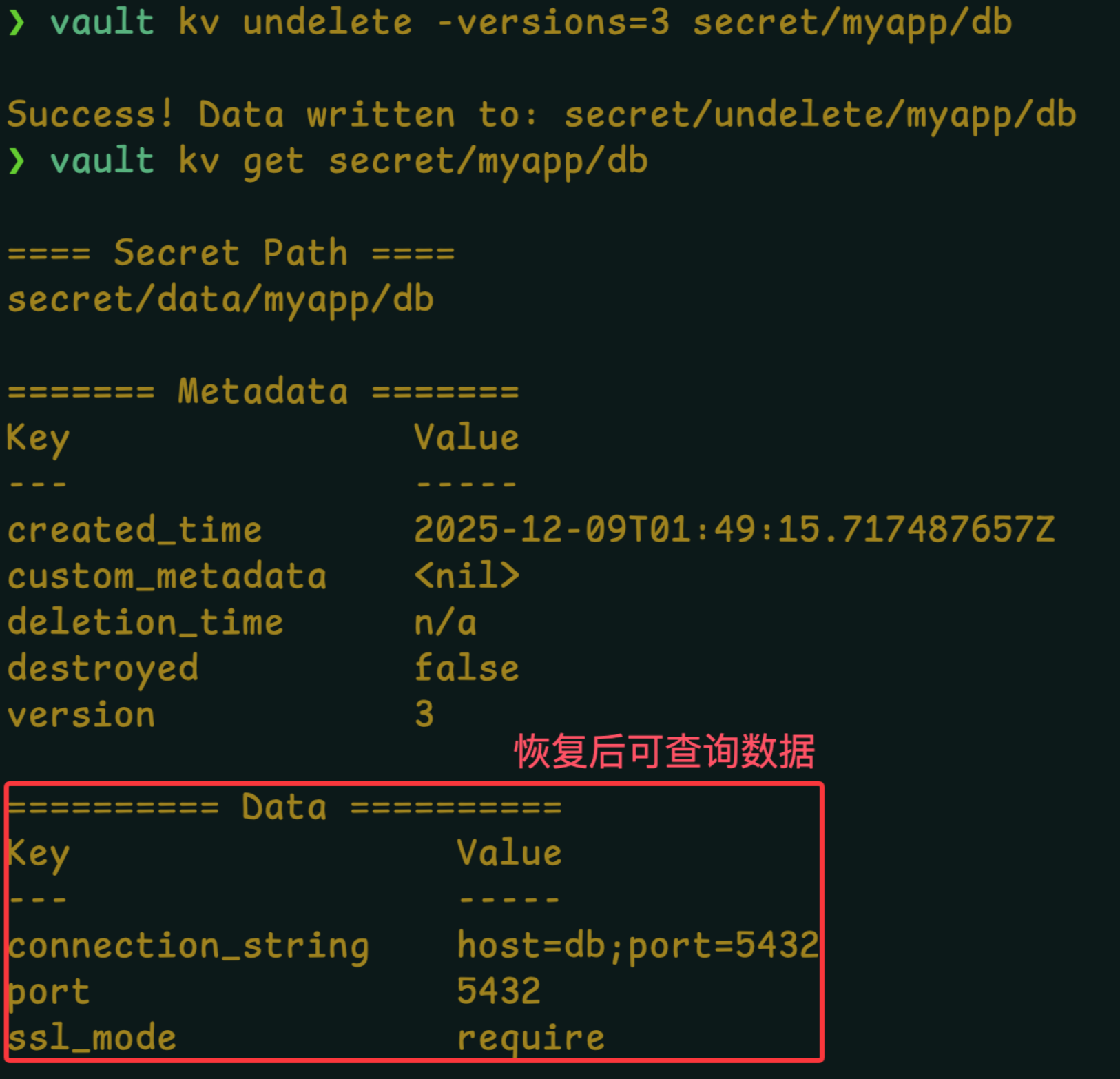 Clipboard_Screenshot_1766743321