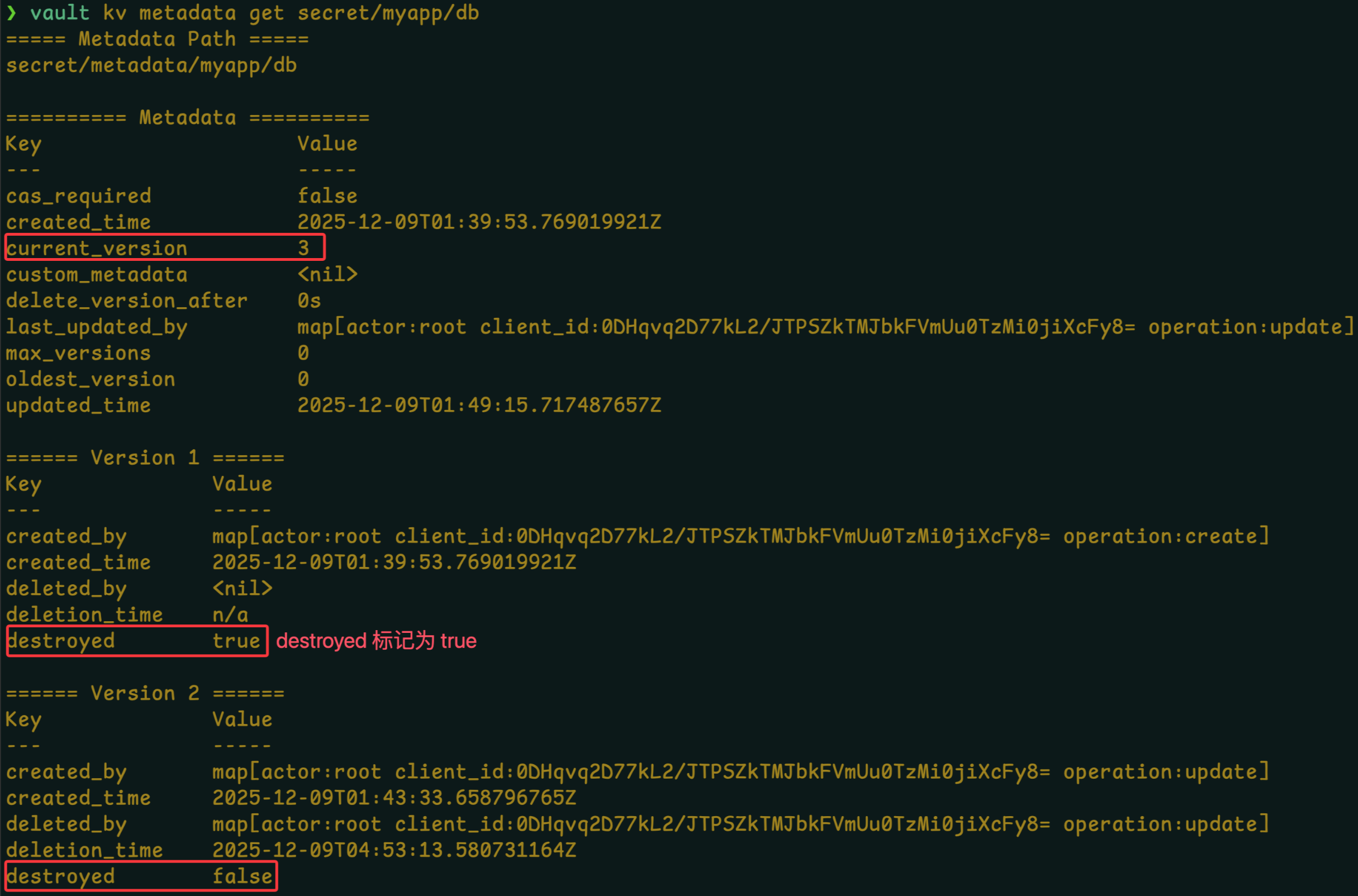 Clipboard_Screenshot_1766743382