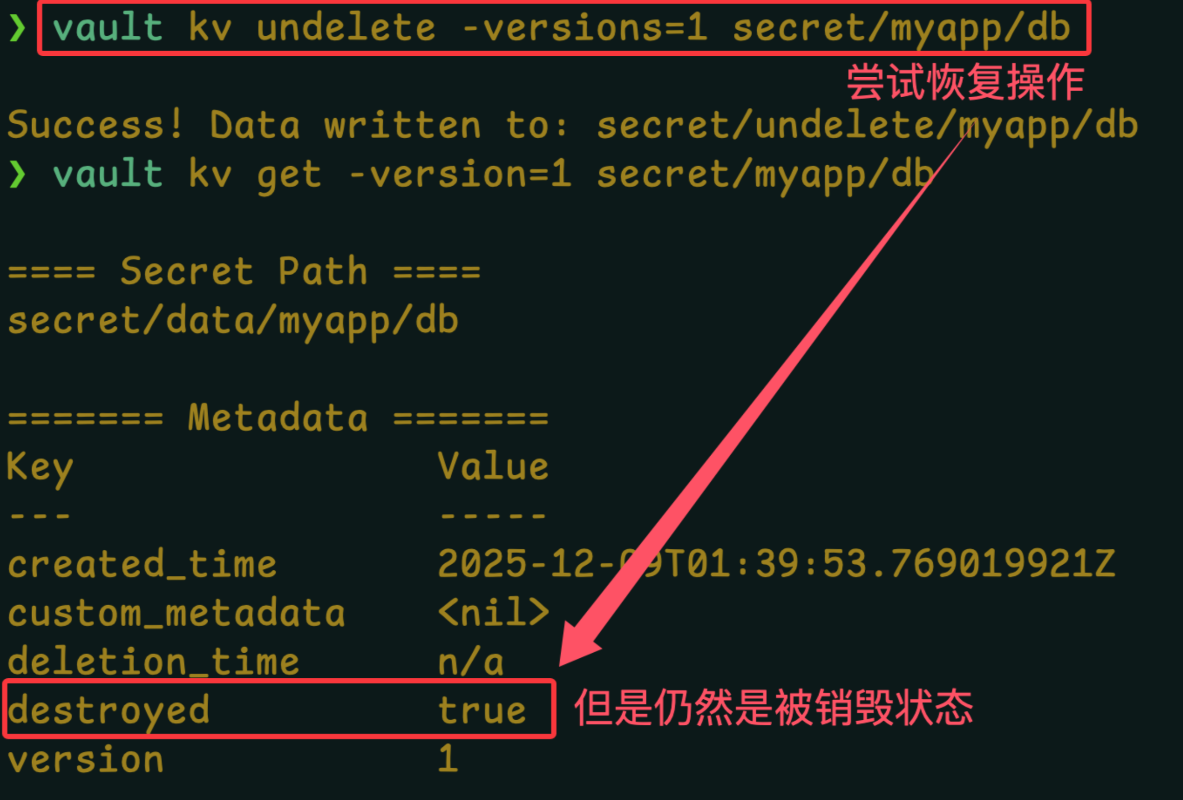Clipboard_Screenshot_1766743413
