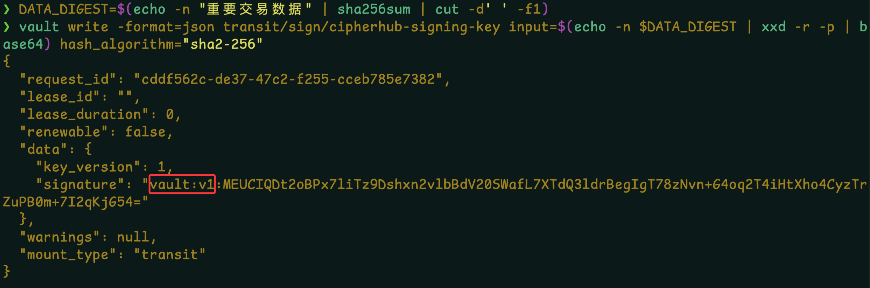 Clipboard_Screenshot_1766721754