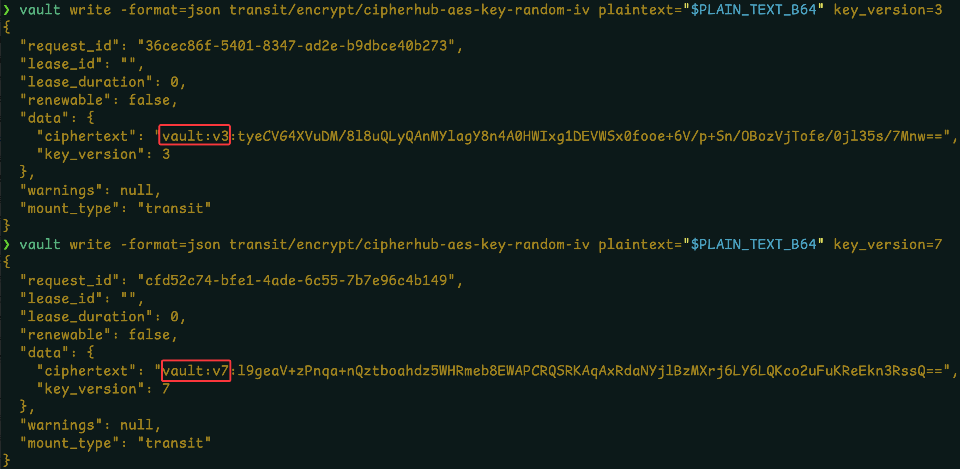 image-20251226120031475