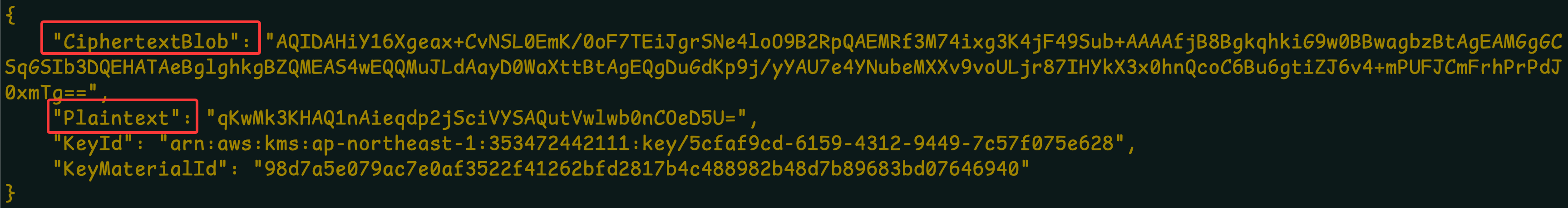 image-20260129111159926