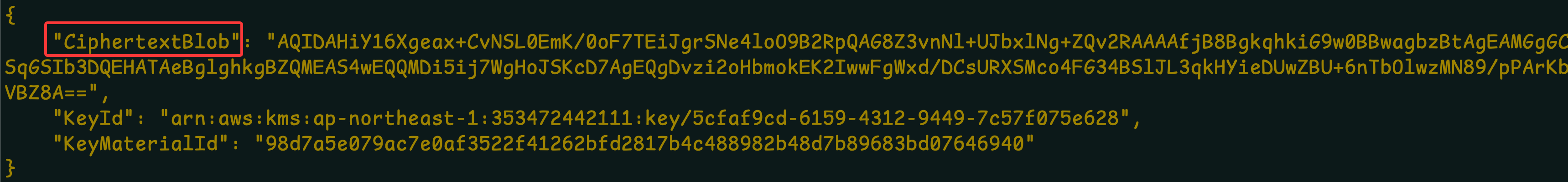 image-20260129111412506