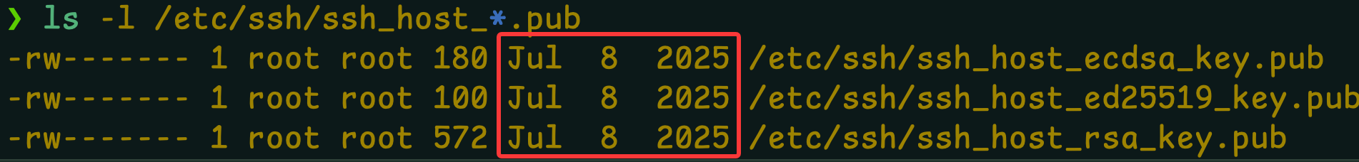 image-20260122200657131