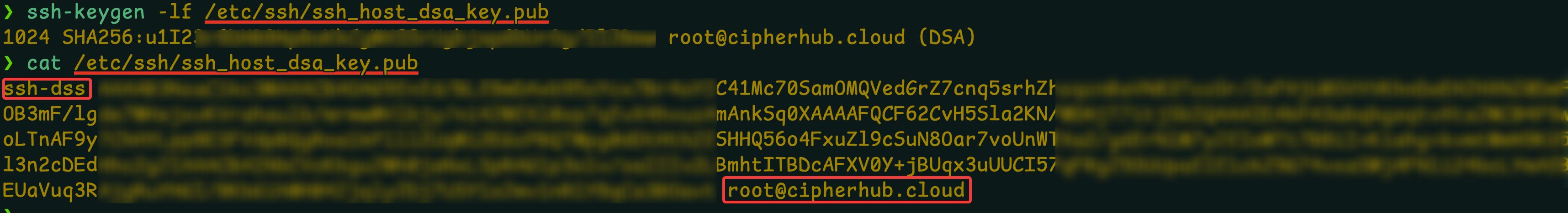 image-20260123092623483