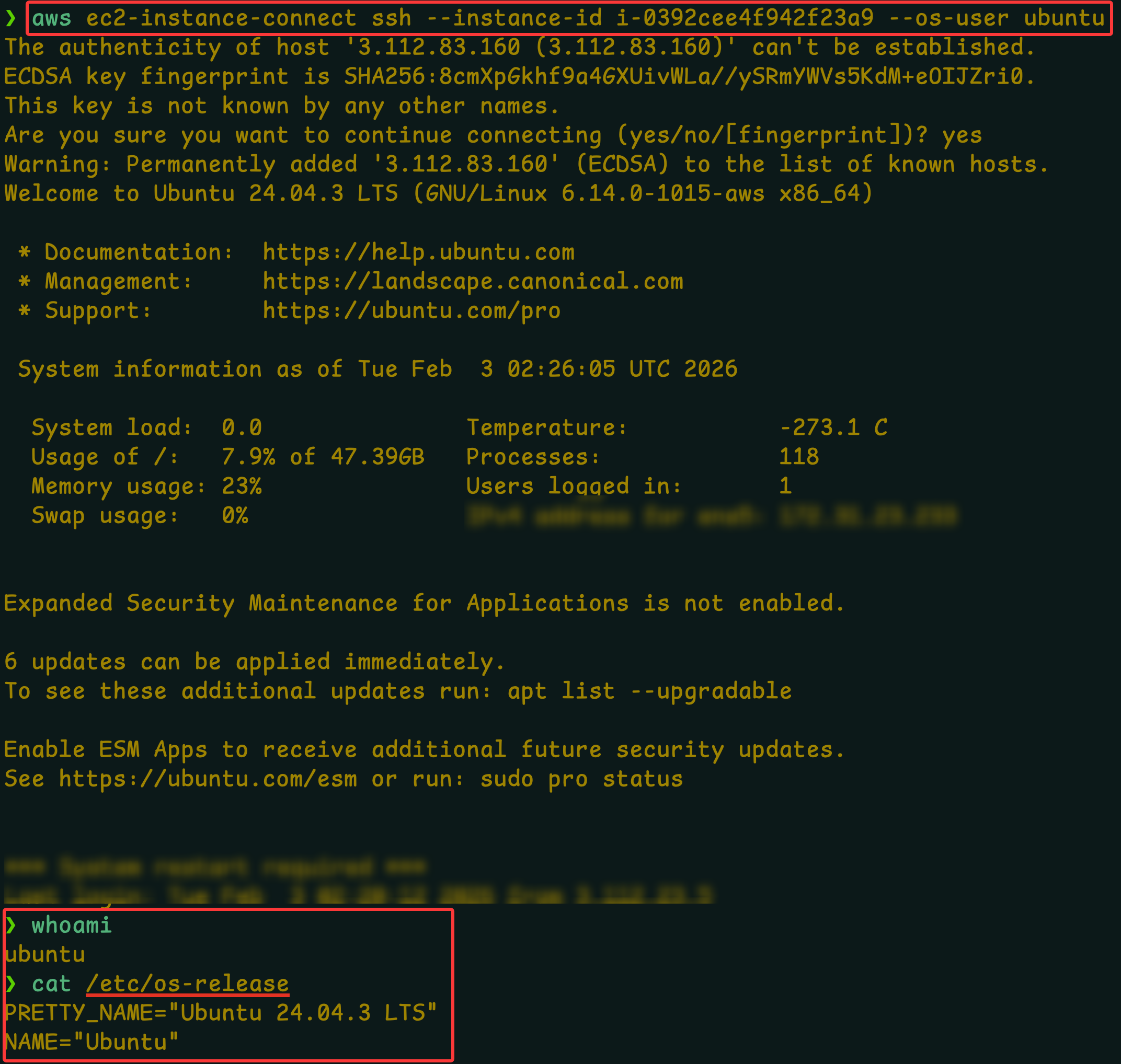 image-20260203103223084