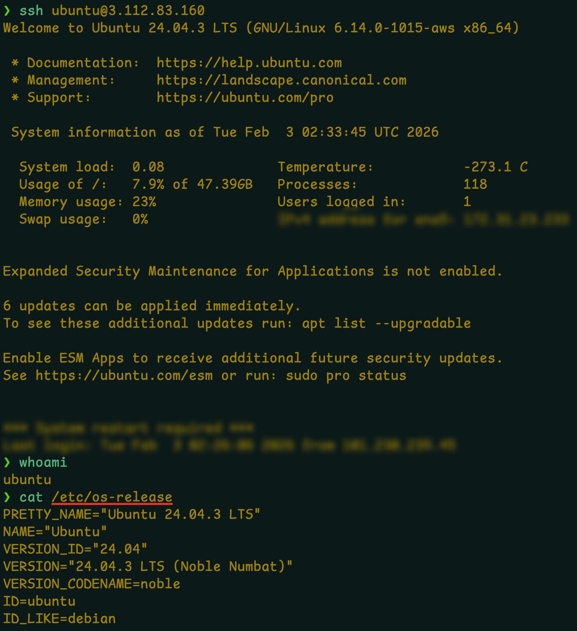 image-20260203103432840